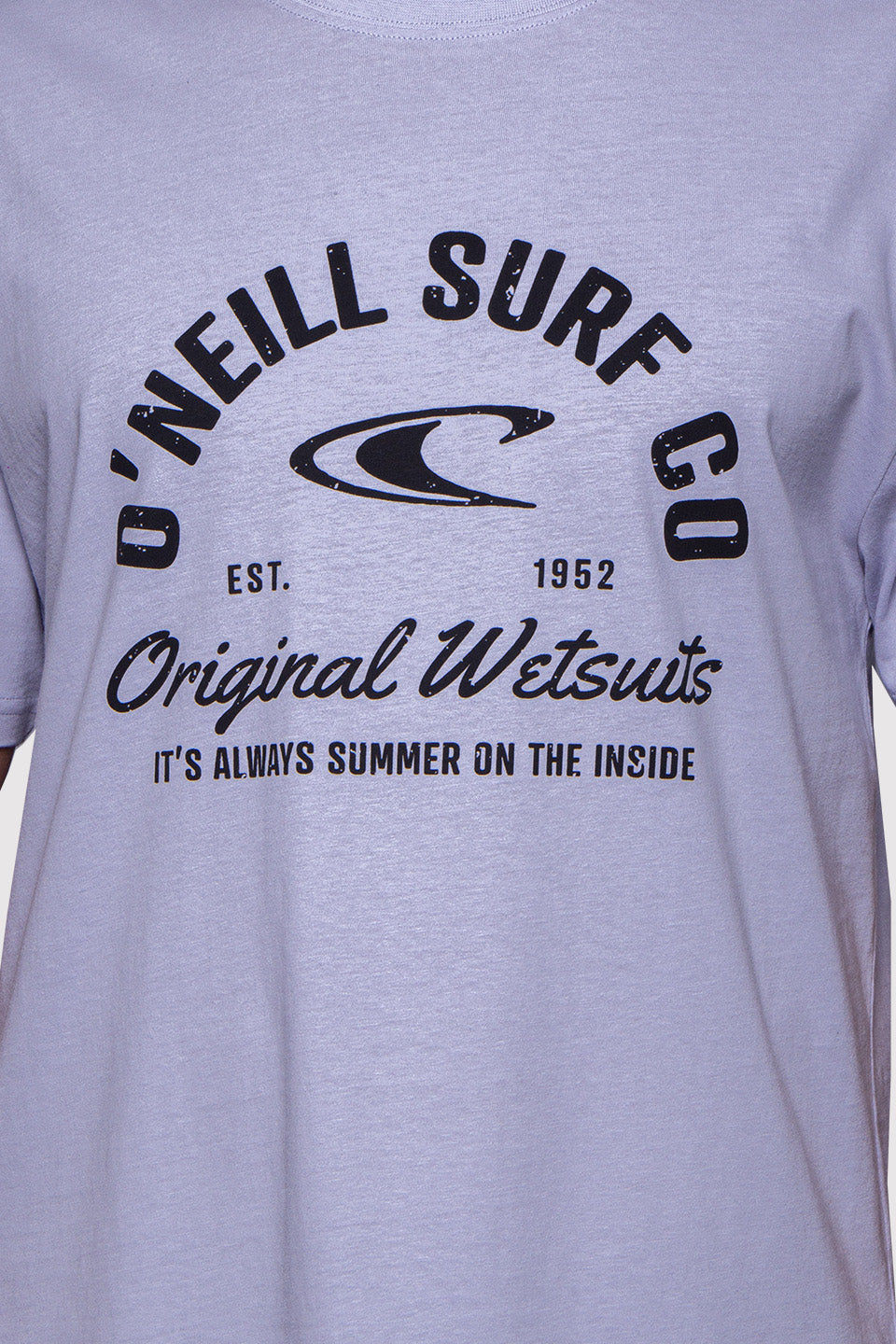 Remera Surf Co O'Neill