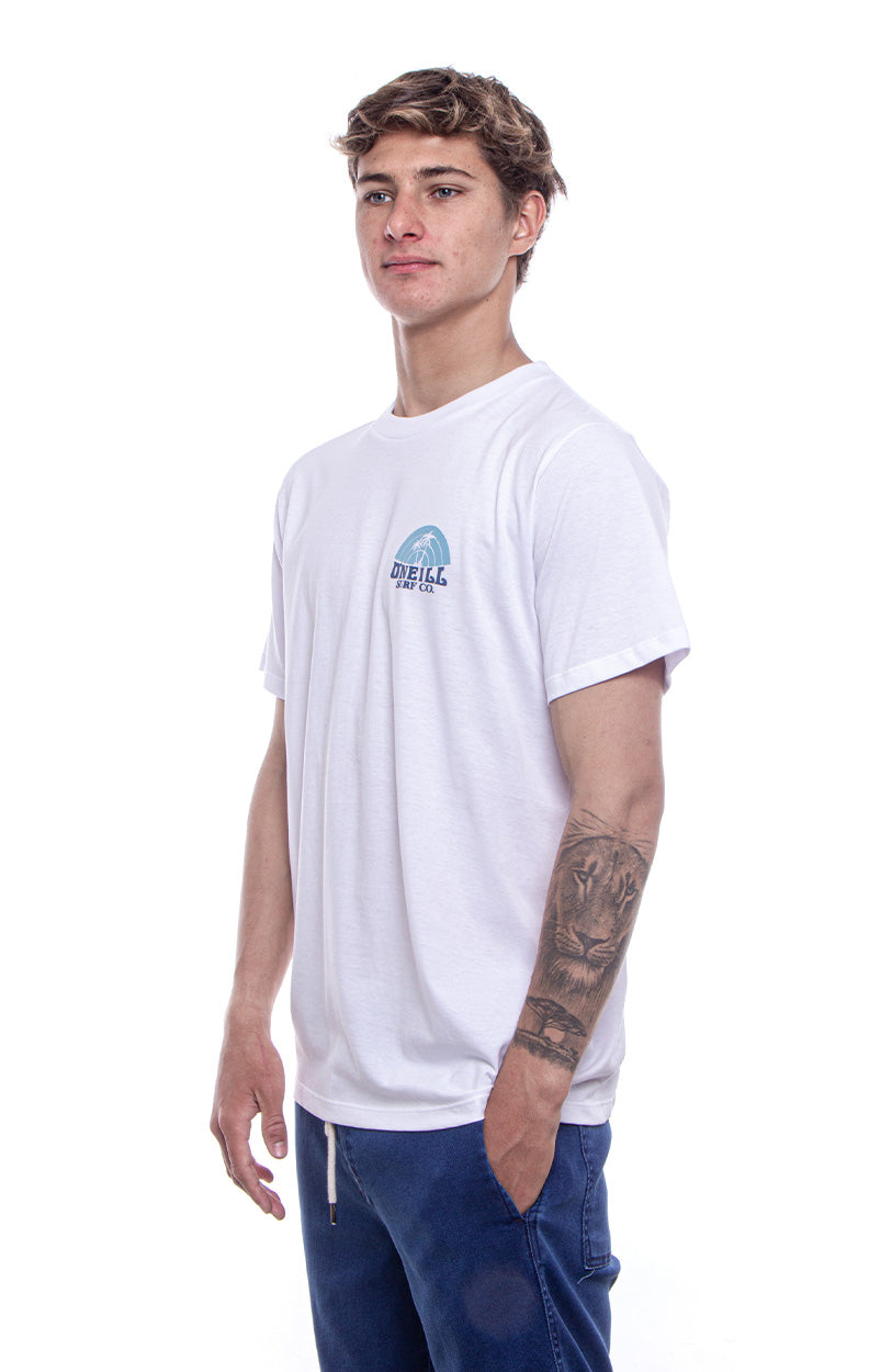 Remera Shaved Ice O'Neill