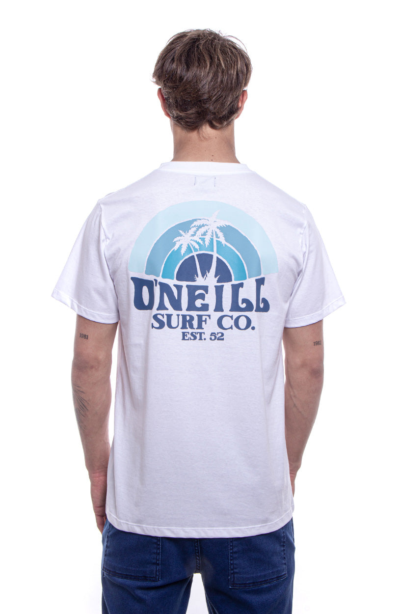 Remera Shaved Ice O'Neill