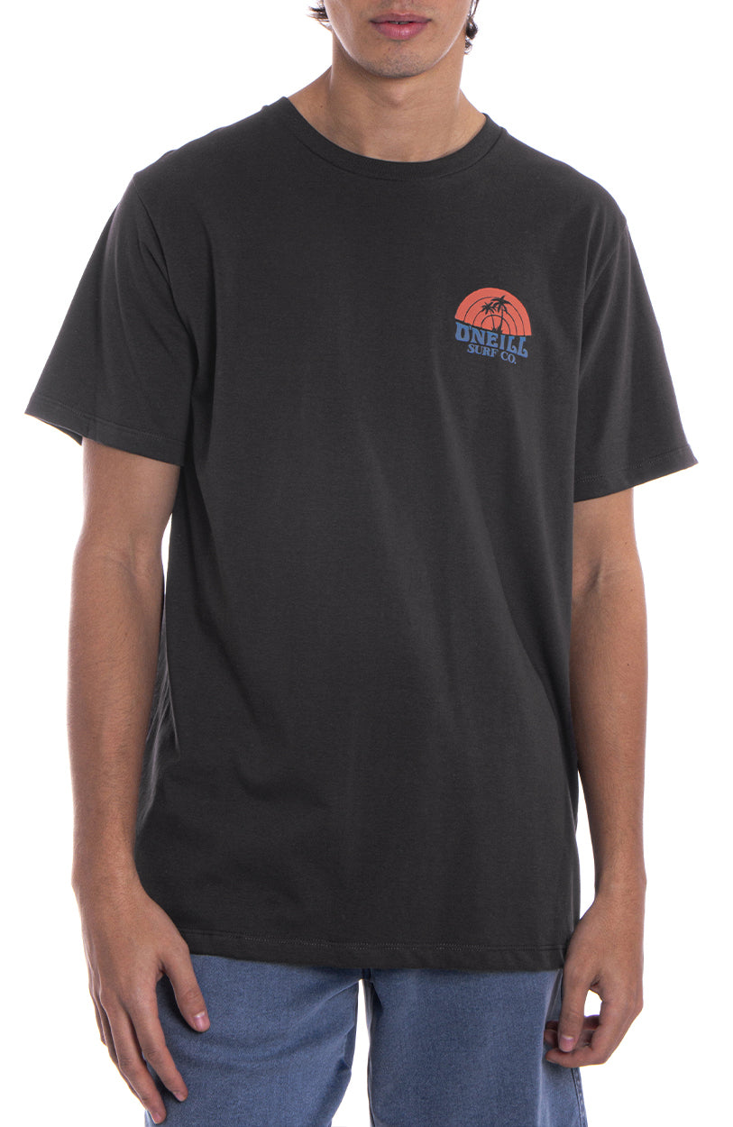 Remera Shaved Ice O'Neill
