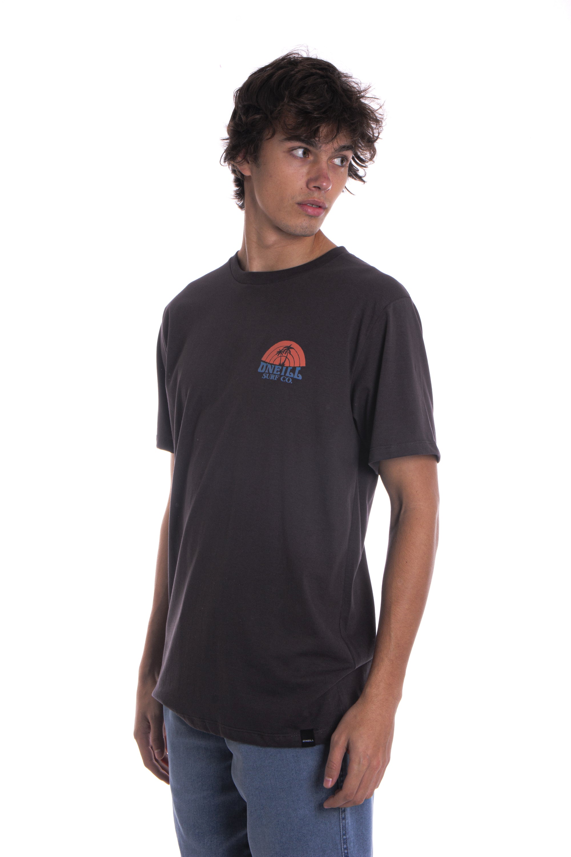 Remera Shaved Ice O'Neill