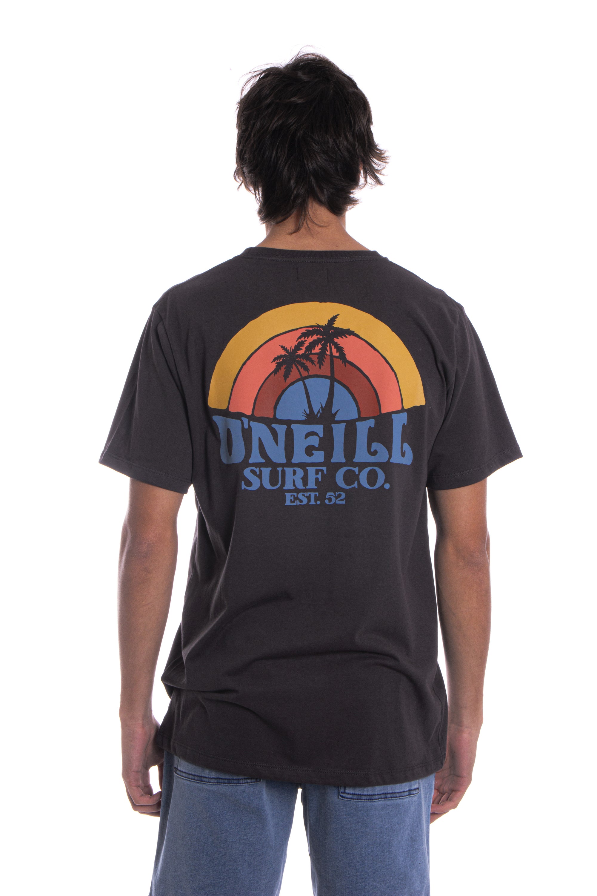 Remera Shaved Ice O'Neill