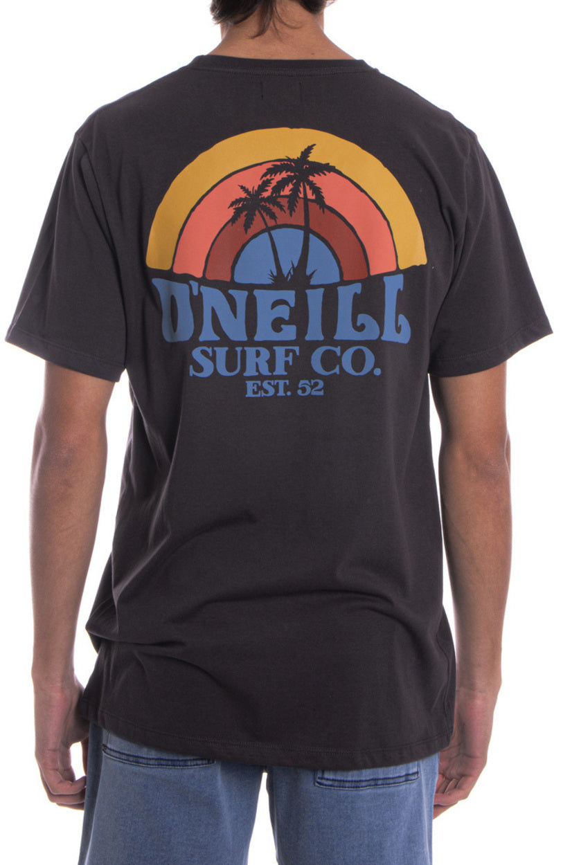 Remera Shaved Ice O'Neill