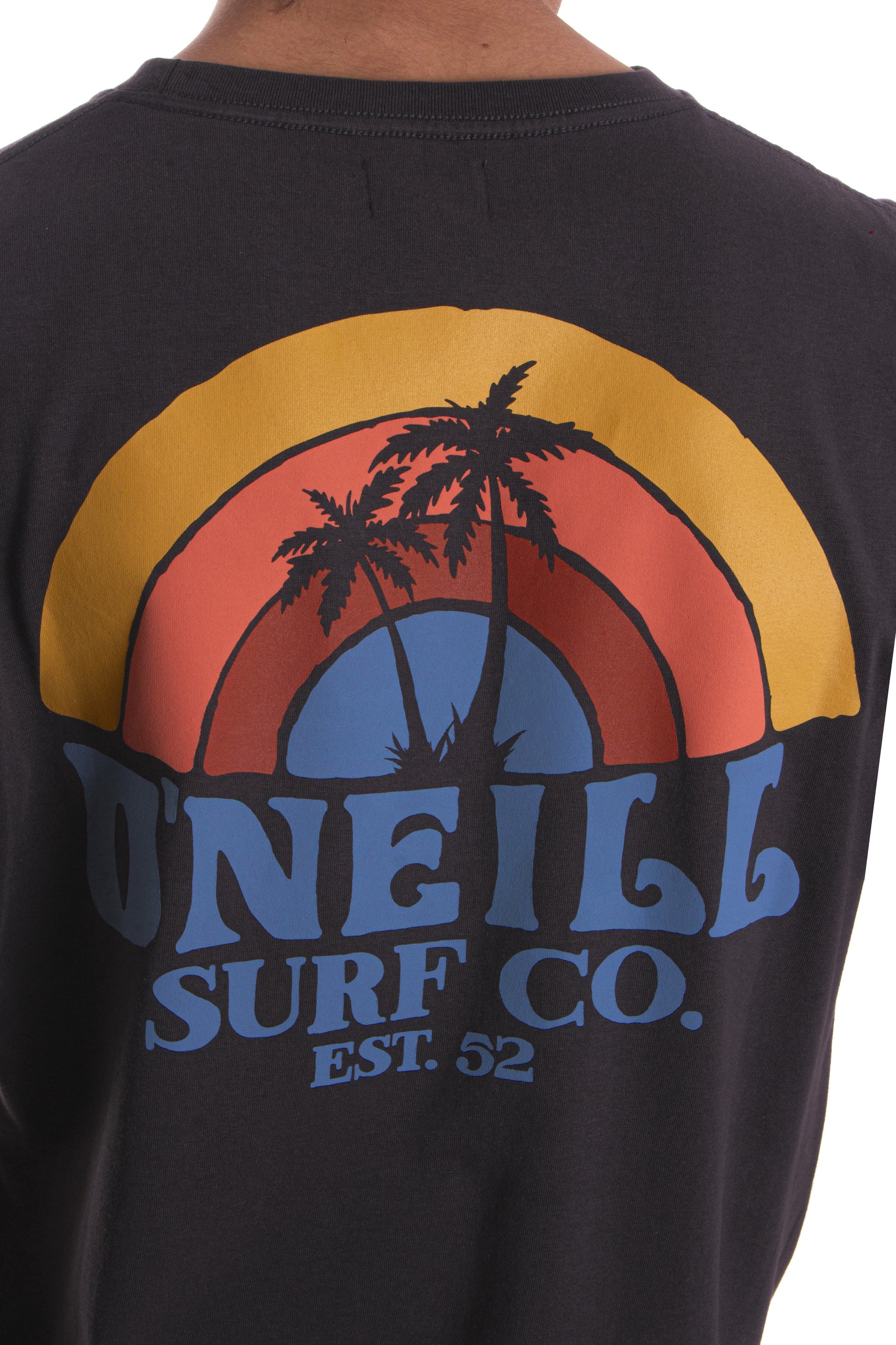 Remera Shaved Ice O'Neill