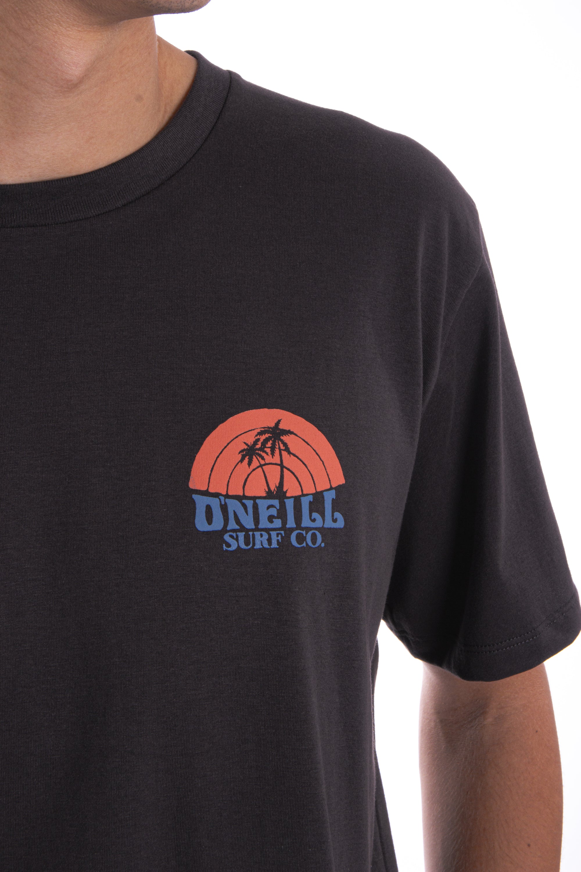 Remera Shaved Ice O'Neill