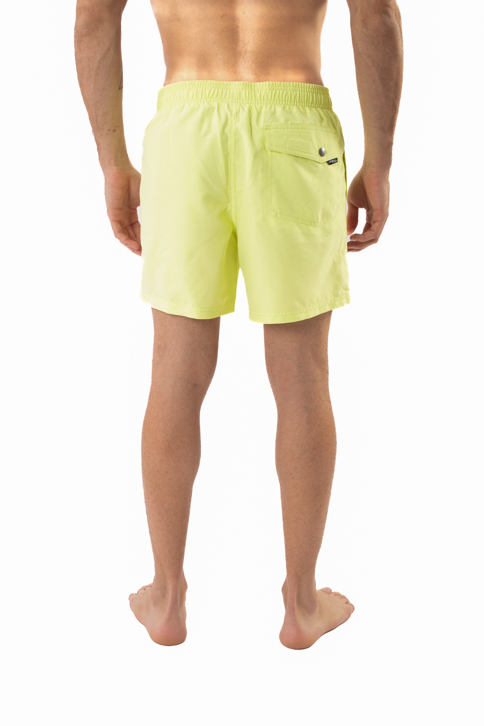 Traje de Baño Vert O'Neill