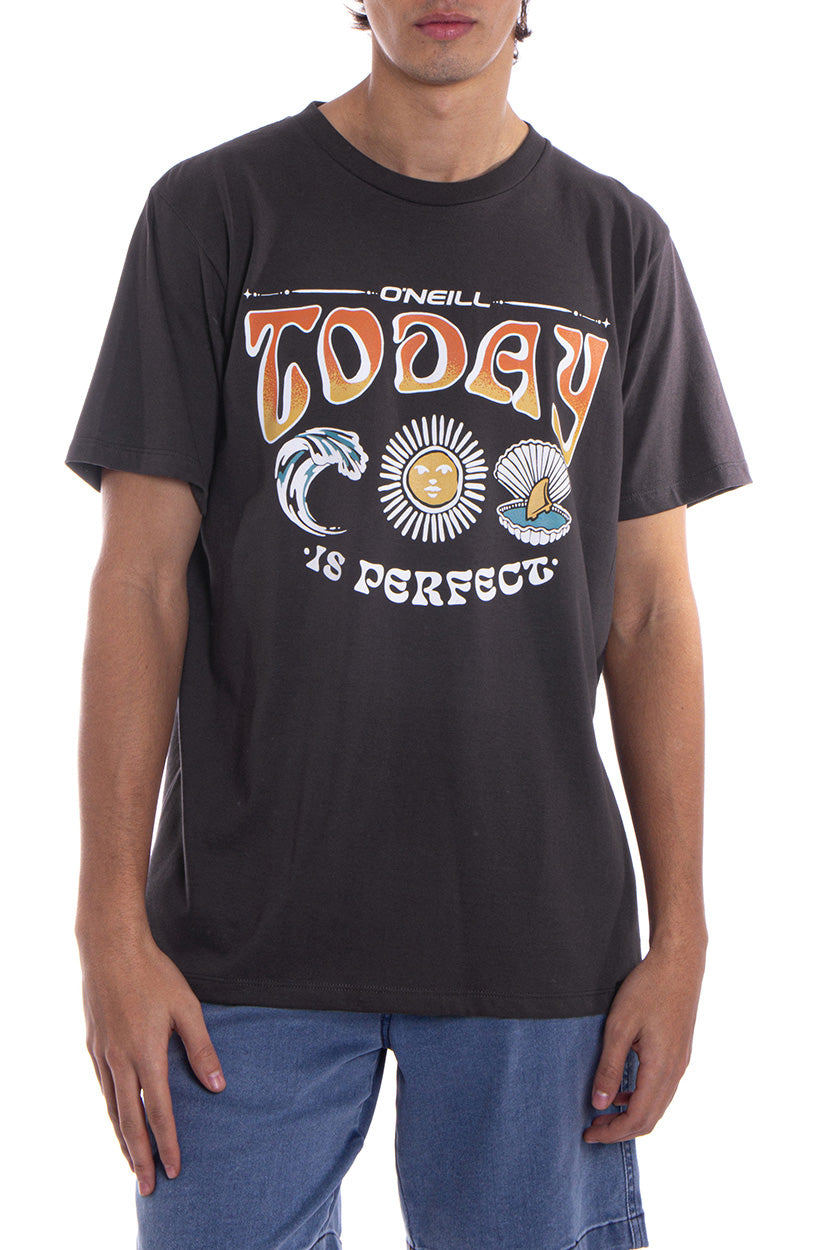 Remera Today Unisex O'Neill