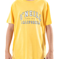 Remera Surf State O'Neill