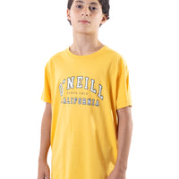 Remera Surf State O'Neill