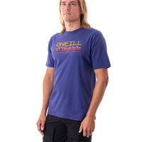 Remera Elevated O'Neill
