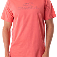 Remera Original O'Neill