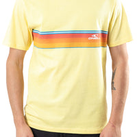 Remera Diver O'Neill