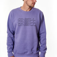 Buzo Cuello Redondo Mono line O'Neill