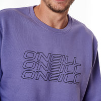 Buzo Cuello Redondo Mono line O'Neill