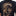 Remera Grafitty Back O'Neill