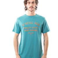 Remera Seawater O'Neill