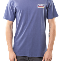 Remera Headquarters O'Neill